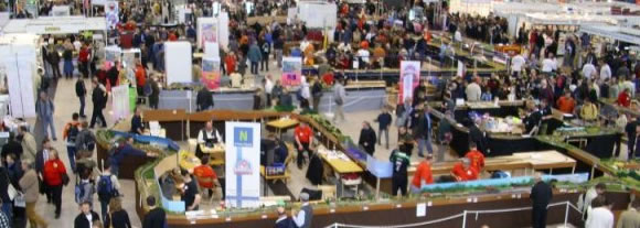 4. European N-Scale Convention