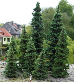 Microlife: 2 neue Fichten