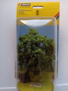 Hainbuche 