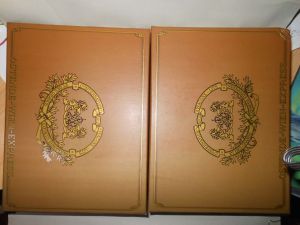 Hobbytrain Zug CIWL  Ostende-Wien H22100, H22101