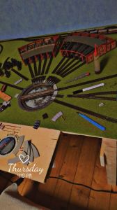 Suche Arnold Ringlockschuppen 