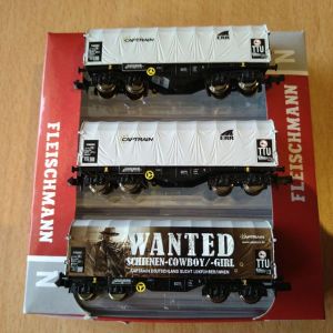 Fleischmann 837932 Schiebeplanenwagen-Set Shimmns 6 der DB (Ep. VI)