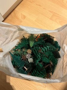 Konvolut B&auml;ume 1