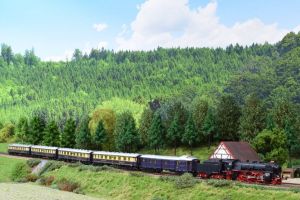 Rheingold Wagen ohne Lok