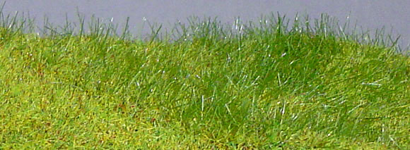wiese mit noch gras-master